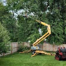Best Stump Grinding and Removal  in South Hooksett, NH