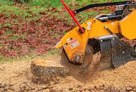 How Our Tree Care Process Works  in  South Hooksett, NH