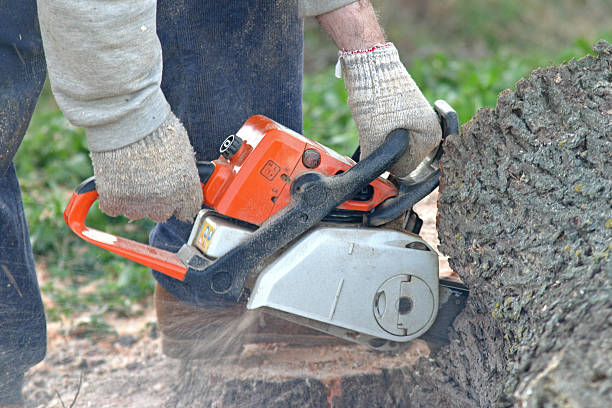 Best Weed Control  in South Hooksett, NH