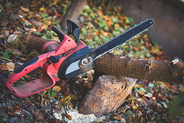 Best Firewood Processing and Delivery  in South Hooksett, NH
